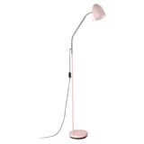 Lara 1lt Metal Reading Adjustable Floor Lamp