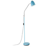 Lara 1lt Metal Reading Adjustable Floor Lamp