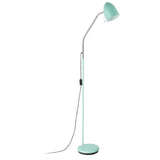 Lara 1lt Metal Reading Adjustable Floor Lamp