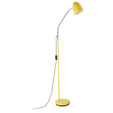 Lara 1lt Metal Reading Adjustable Floor Lamp