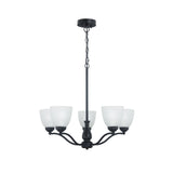 Rochester Traditional Arm Pendant Light with Frost Glass's